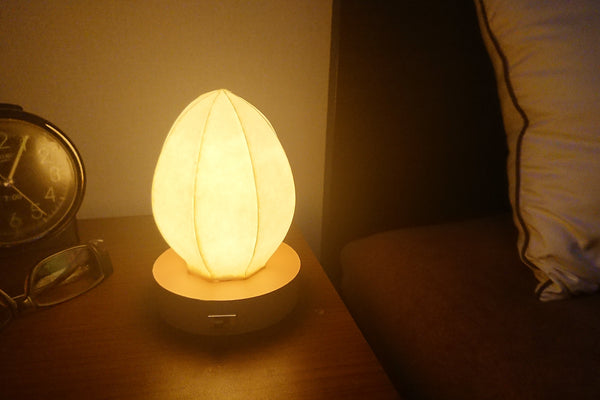 Egg type Japanese paper shade night lamp