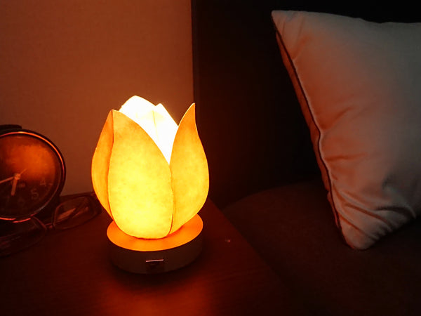 Nachtlampe aus japanischem Papierschirm mit Tulpenblume
