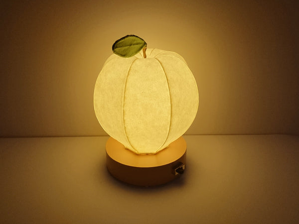 Apple type Japanese paper shade night lamp